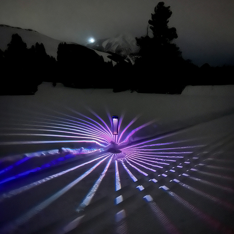 toobs garden tiki solar light